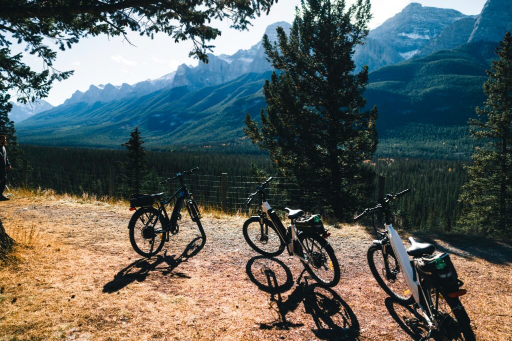 De 5 beste e-bikes onder de 2000